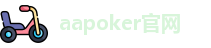 aapoker电脑版